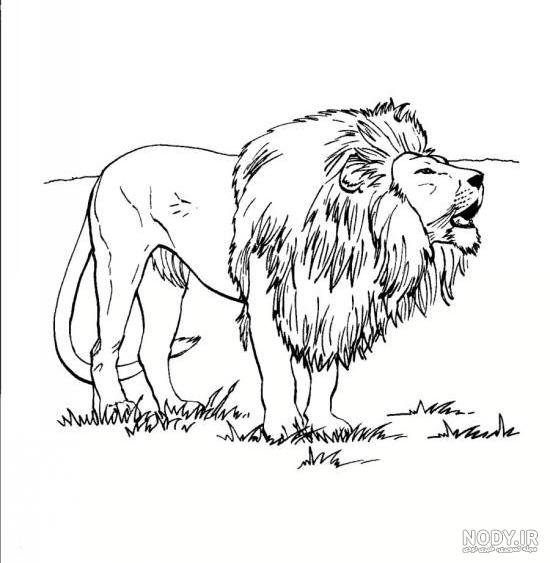 عکس نقاشی شیر
