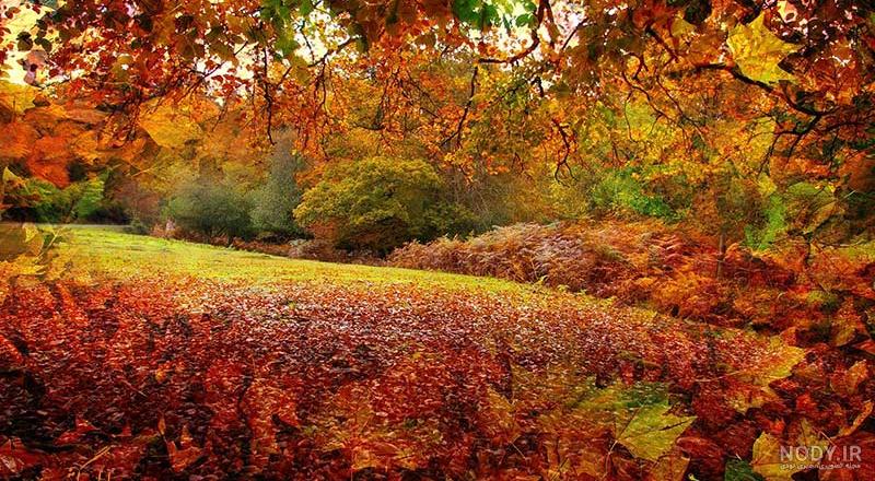 عکس پاییزی زیبا عکس پاییزی زیبا