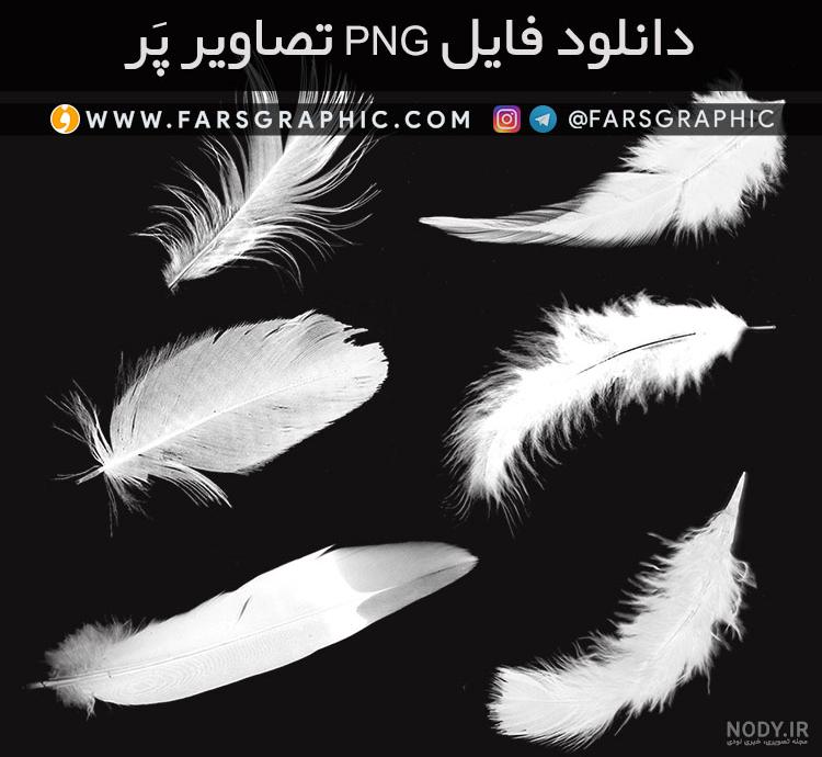 عکس پر png عکس پر png