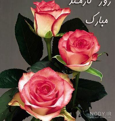 تبریک روز کارمند 98