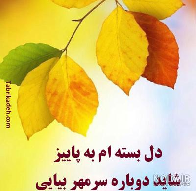 تصاویر پاییز بارانی