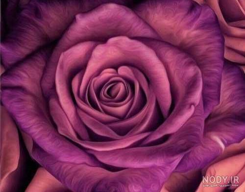 تصویر زمینه گل گلی برای گوشی