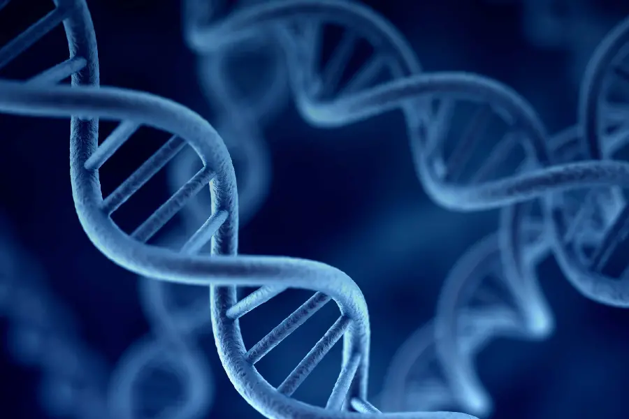 تفاوت rna و dna