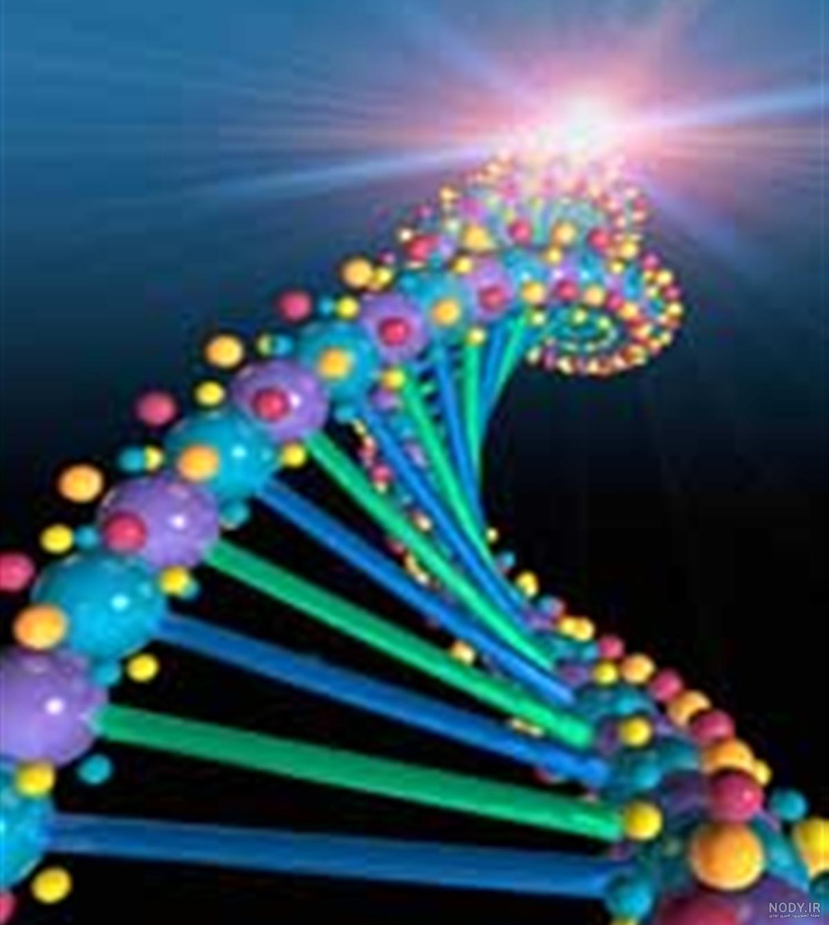 تفاوت ژن و dna