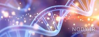 تفاوت ژن و dna