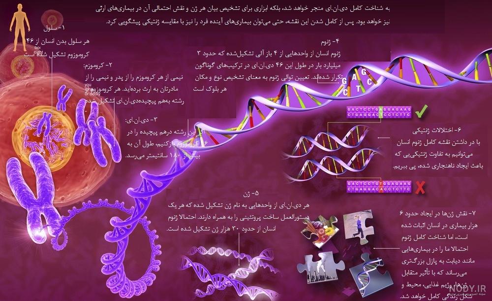 تفاوت ژن و dna هشتم