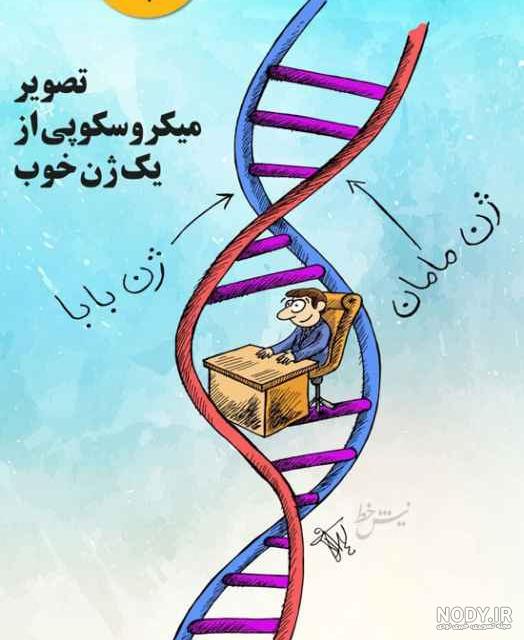 تفاوت ژن و کروموزوم