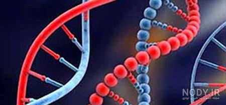 تفاوت کروموزوم و dna