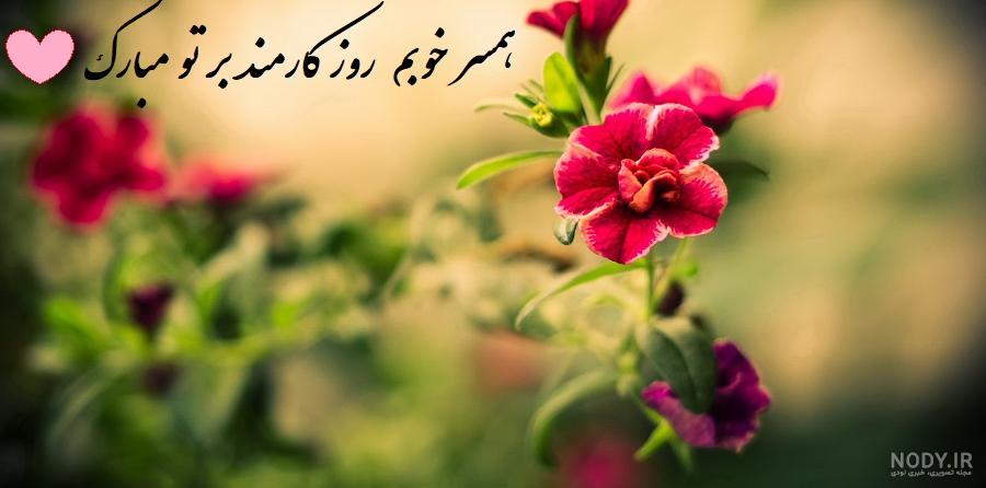 عکس روز کارمند مبارک