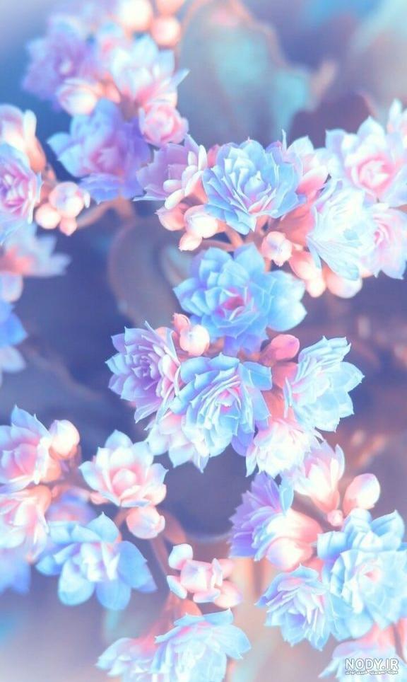 عکس شاد برای بک گراند عکس شاد برای بک گراند