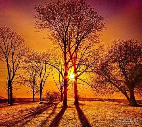 عکس غروب پاییز زیبا عکس غروب پاییز زیبا