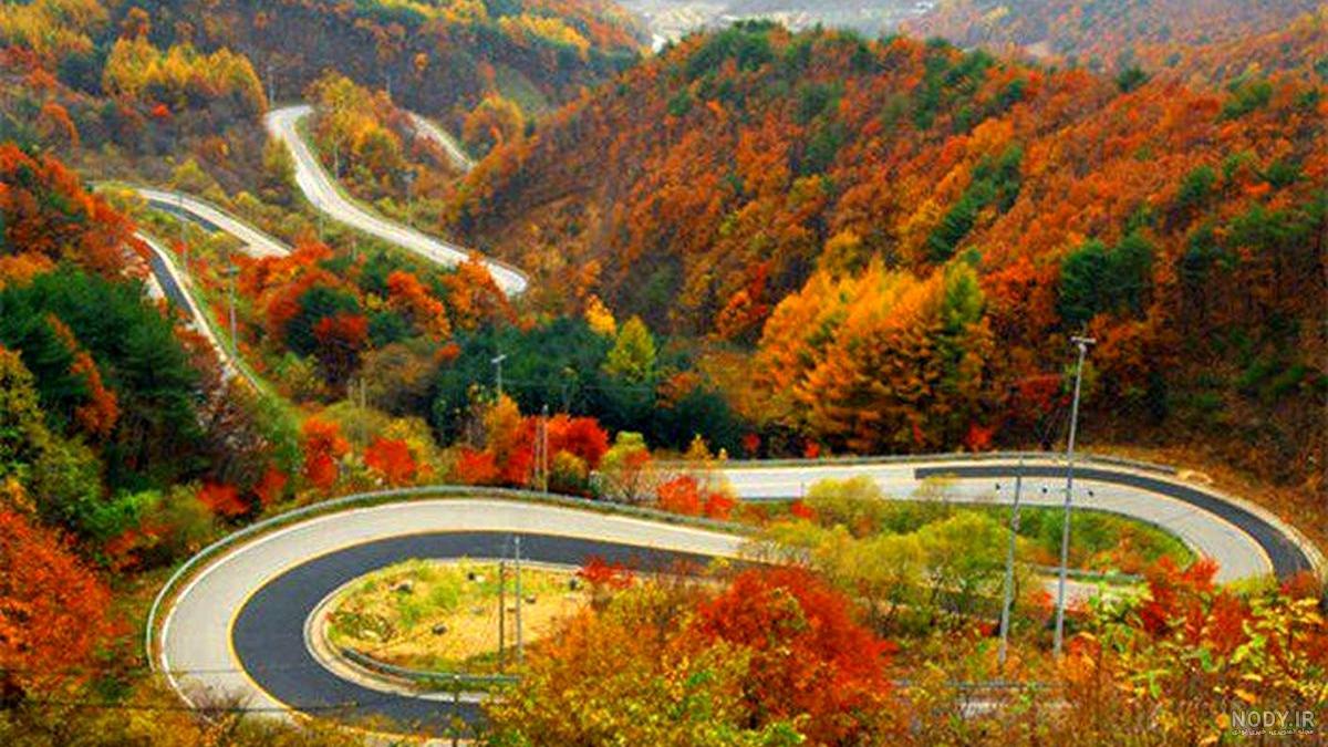 عکس پاییز برای پروفایل واتساپ