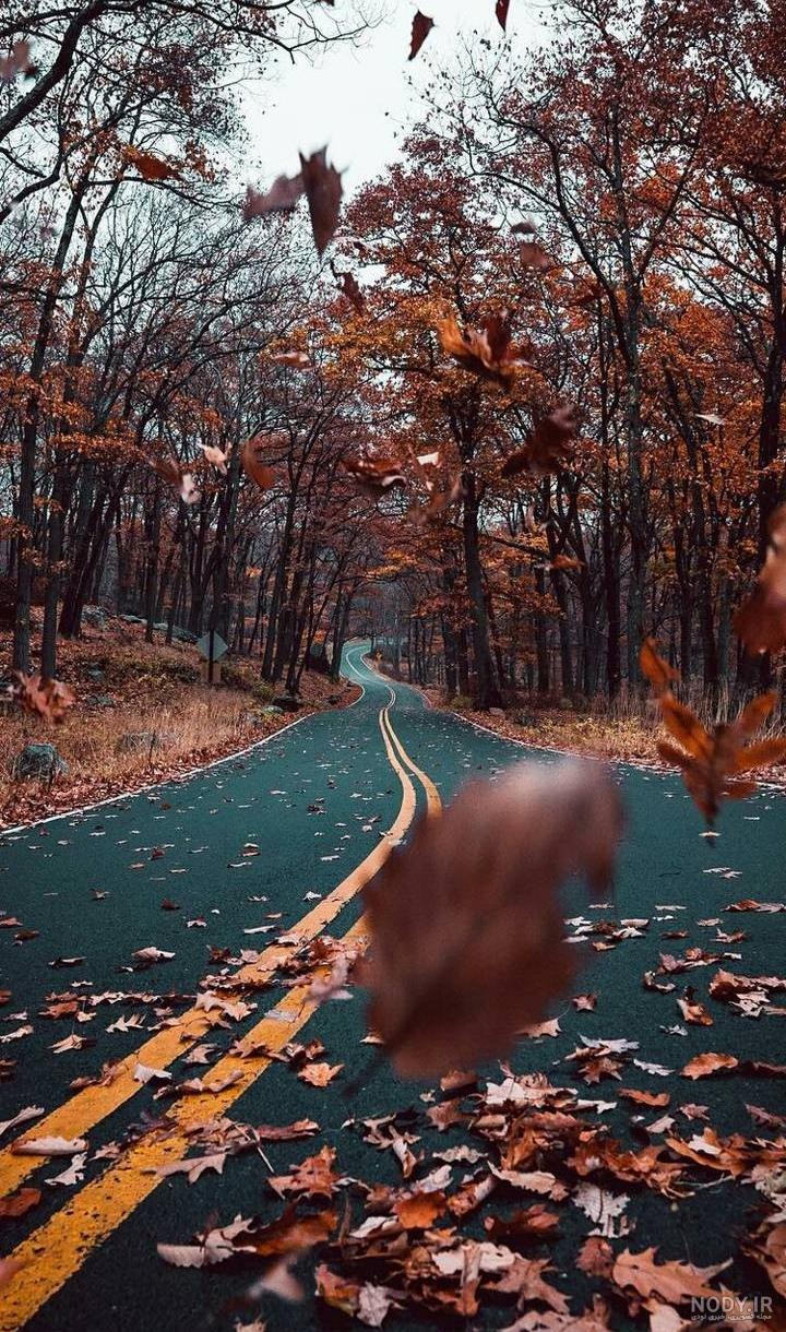 عکس پاییز دلگیر