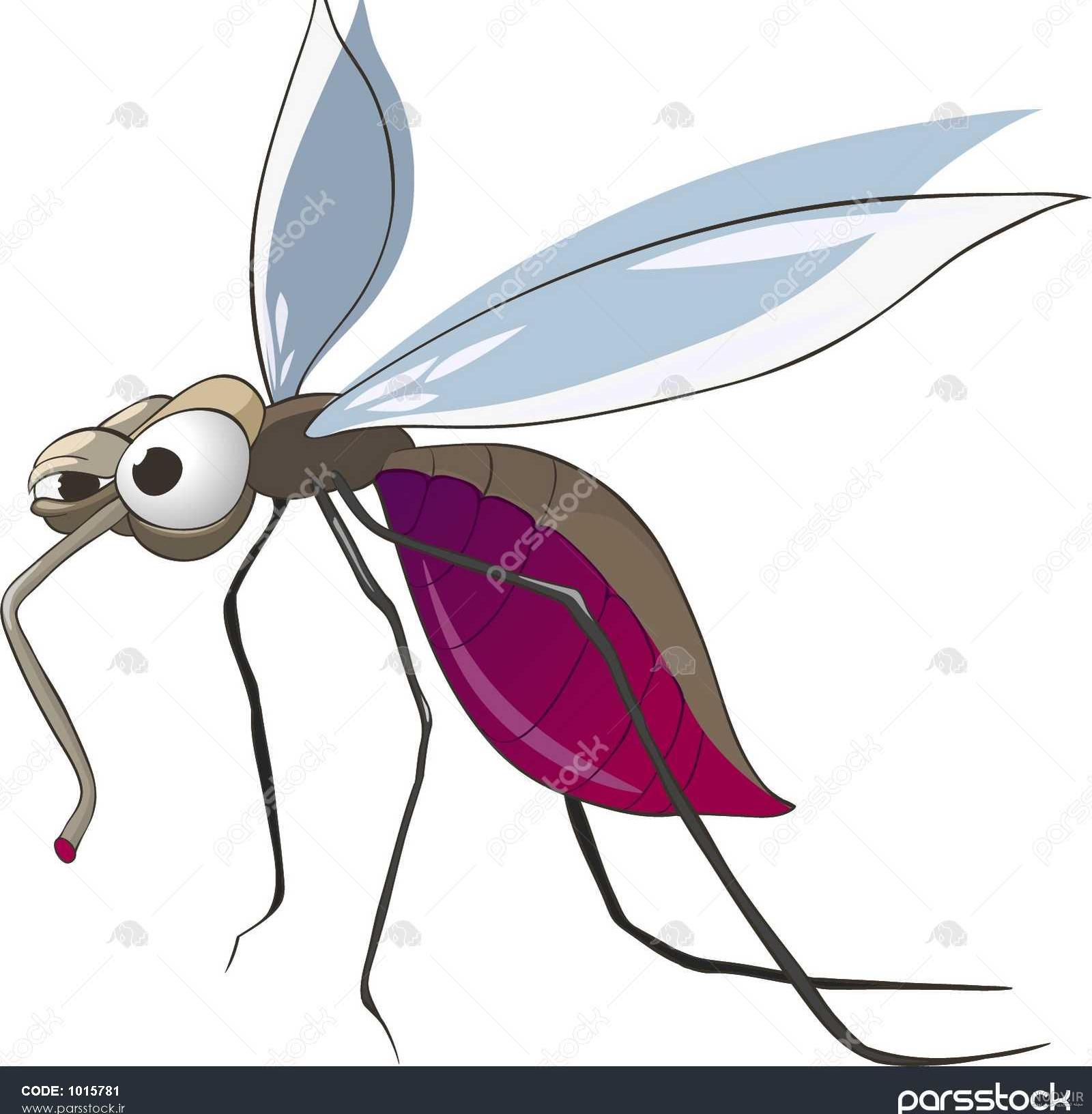 عکس پشه خنده دار