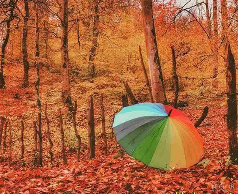 عکس چتر برای نقاشی عکس چتر برای نقاشی