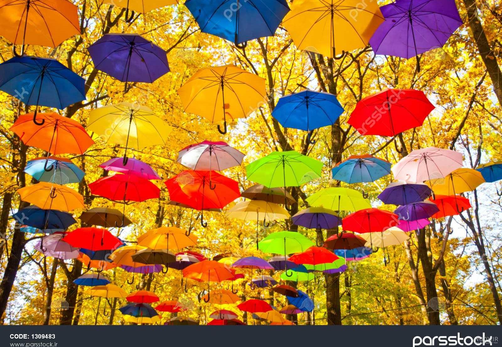 عکس چتر در پاییز عکس چتر در پاییز