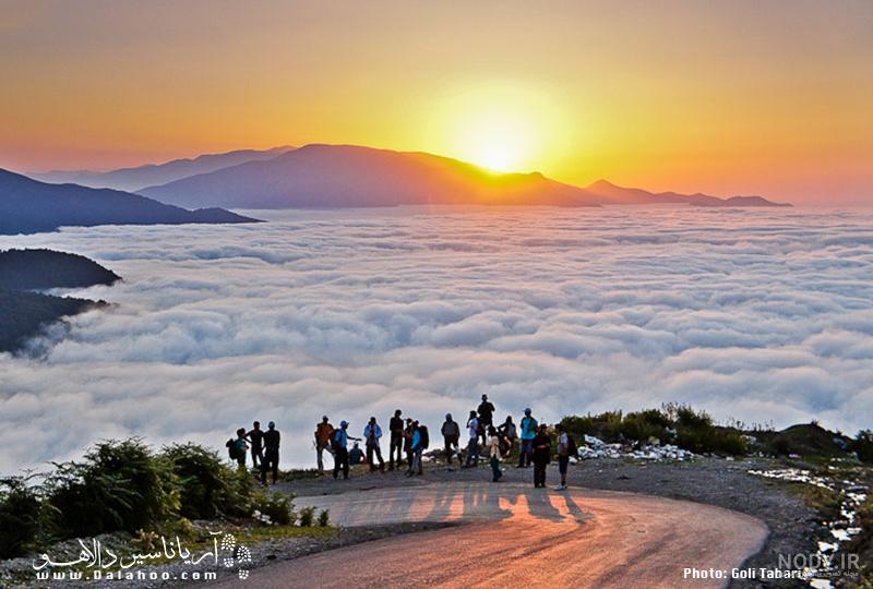 فیلبند تهران
