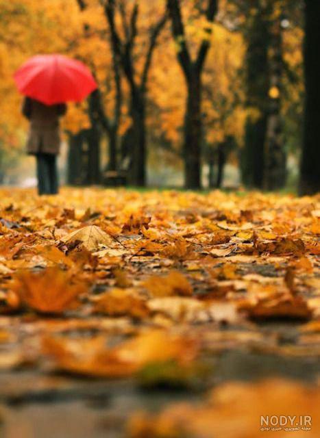 نقاشی اسکرپ بوکی کتاب نقاشی اسکرپ بوکی کتاب