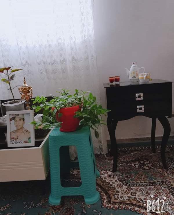 نی نی سایت گل وگیاه نی نی سایت گل وگیاه