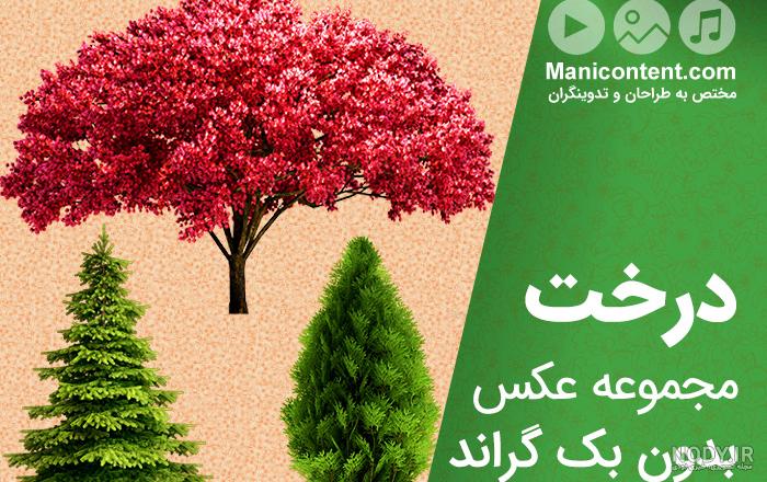 دانلود وکتور درخت دانلود وکتور درخت