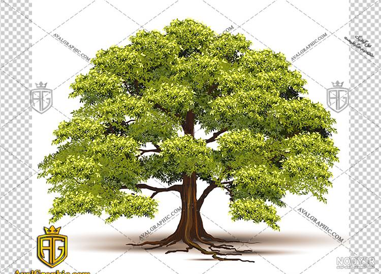دانلود وکتور درخت برای فتوشاپ دانلود وکتور درخت برای فتوشاپ