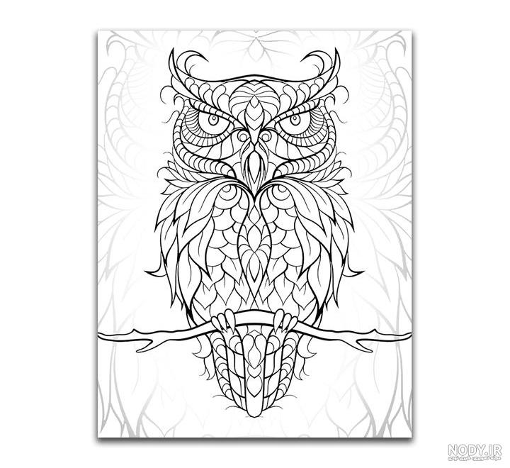 طرح خام ساده طرح خام ساده