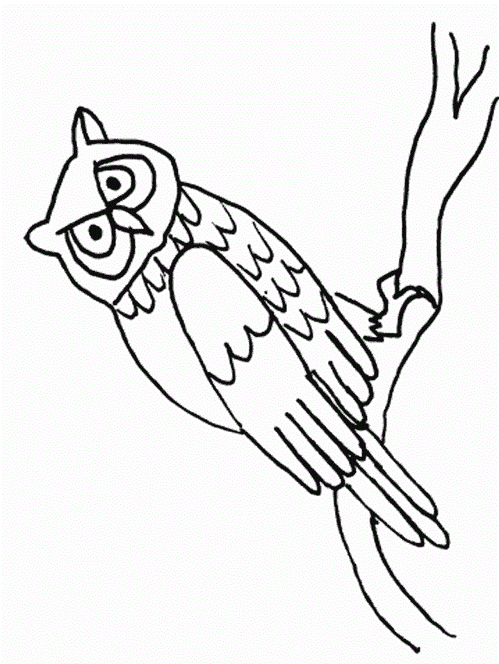 طرح خام ویترای پروانه طرح خام ویترای پروانه