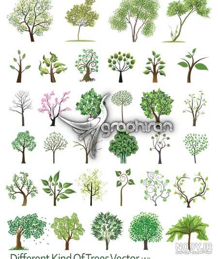 وکتور درخت طبیعی وکتور درخت طبیعی