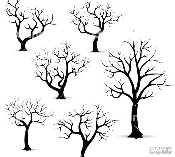 وکتور پرنده وکتور پرنده
