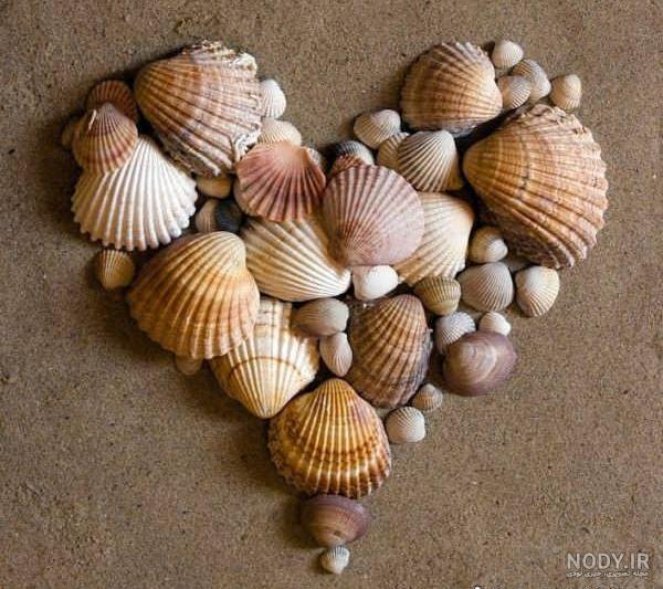 ایده عکس صدف