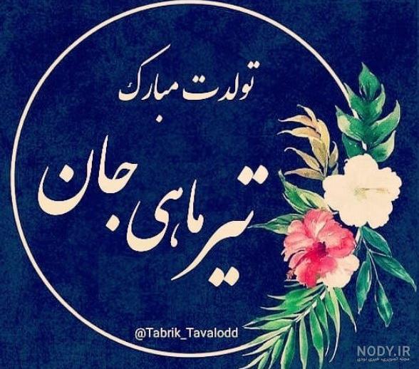 عکس تیر ماهی