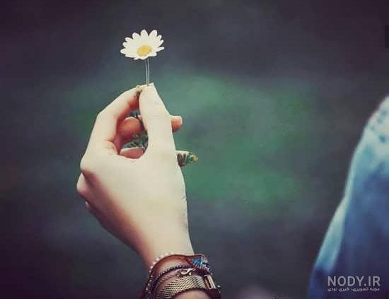 زیباترین عکس هنری زیباترین عکس هنری
