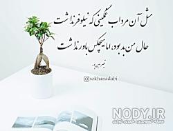 شعر کامل جایی که برادر به برادر نکند رحم