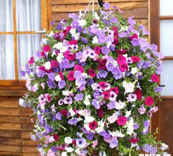 عکس دسته گلهای بسیار زیبا عکس دسته گلهای بسیار زیبا