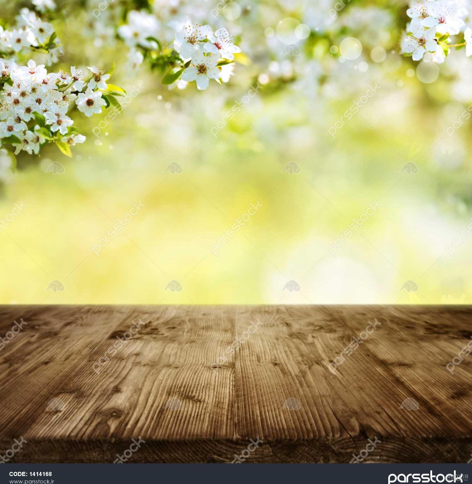 عکس های خالی