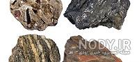 ویژگی سنگ های رسوبی فسیل دار