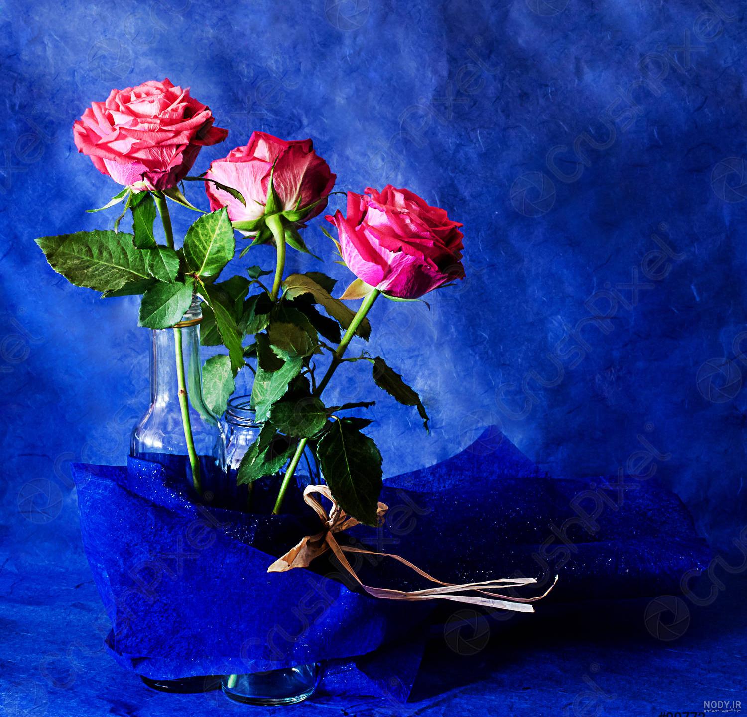 عکس گل زیبا برای پروفایل آبی - عکس نودی