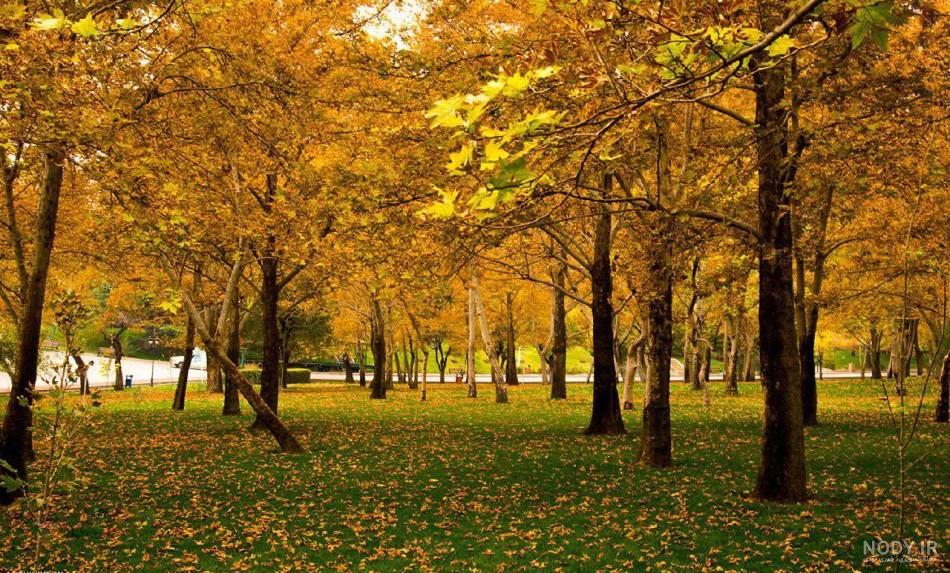 جاهای دیدنی مشهد نزدیک حرم جاهای دیدنی مشهد نزدیک حرم