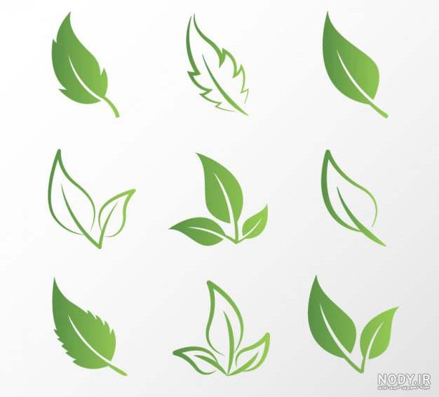دانلود وکتور برگ برای فتوشاپ