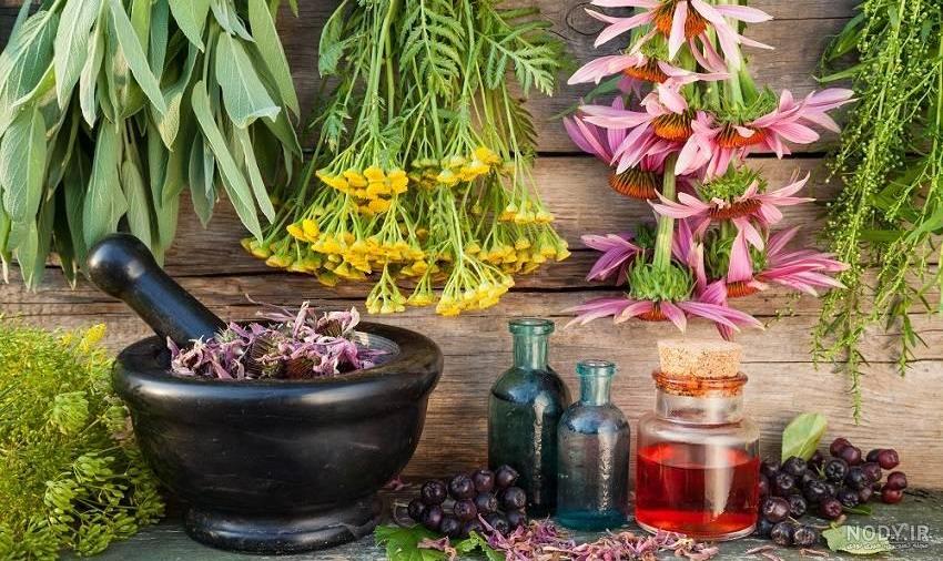 طریقه مصرف جینسینگ