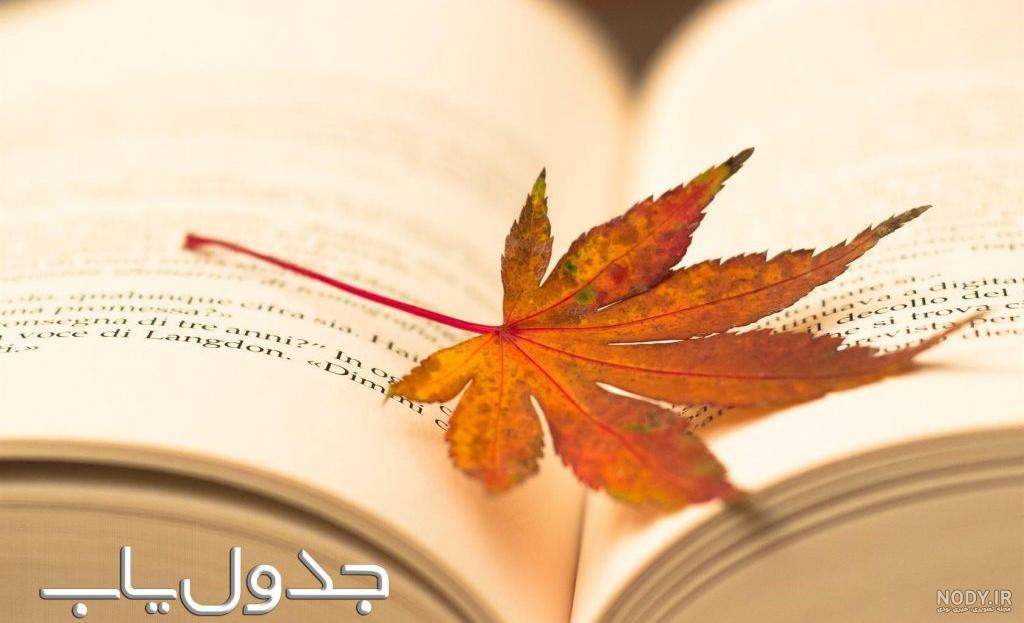 عکس عاشقانه پاییزی بدون متن