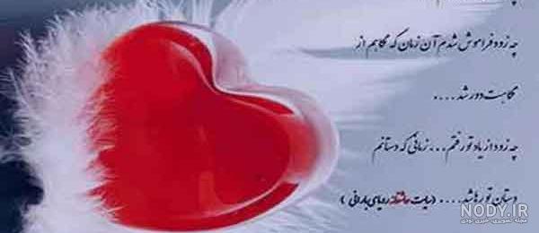 عکس قلب یخی