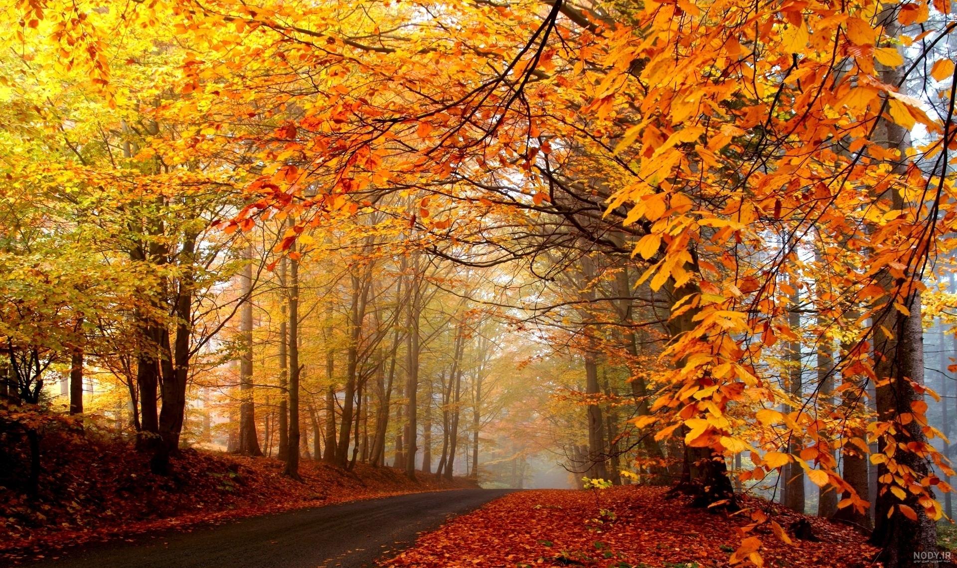 عکس پاییزی غمگین