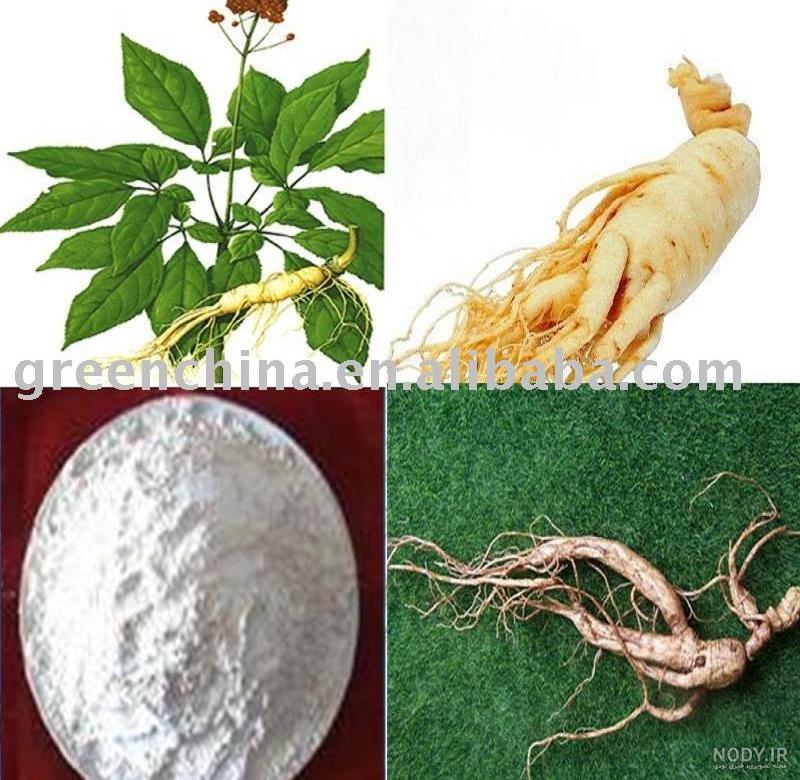 محل رویش گیاه جینسینگ در ایران