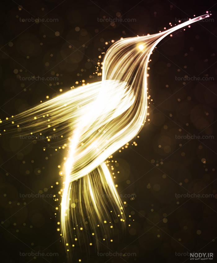 پرنده داركوب پرنده داركوب