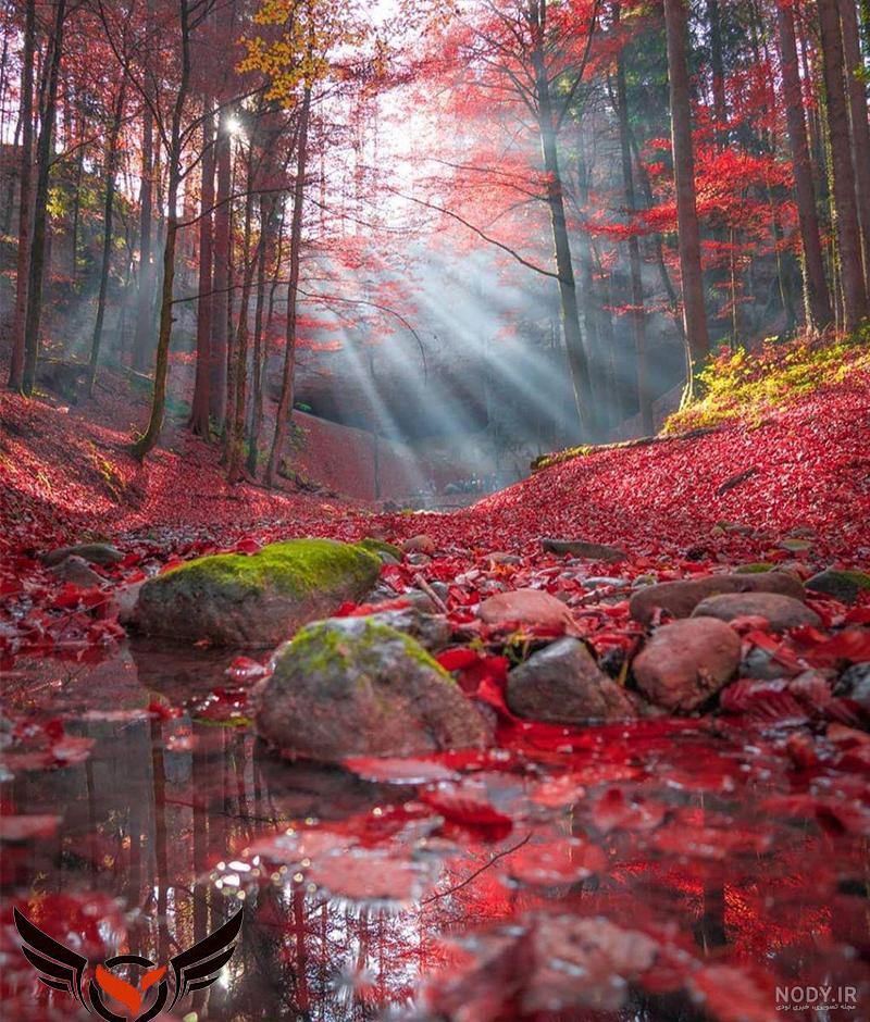 عکس سرسبزی طبیعت عکس سرسبزی طبیعت
