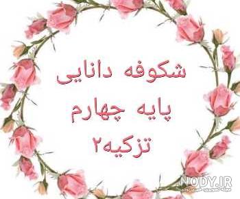 عکس سلول کلاس چهارم