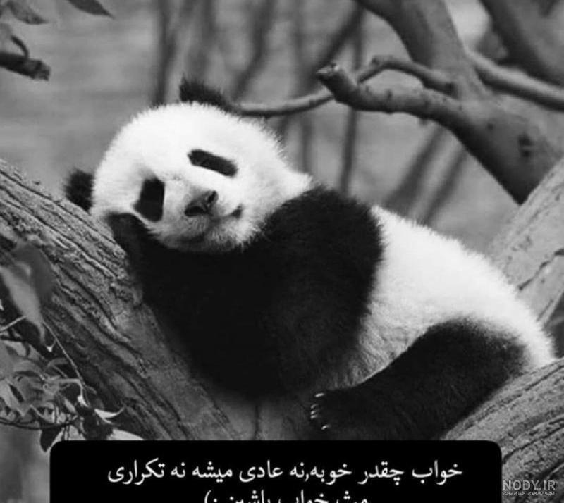 عکس درباره خوابالو