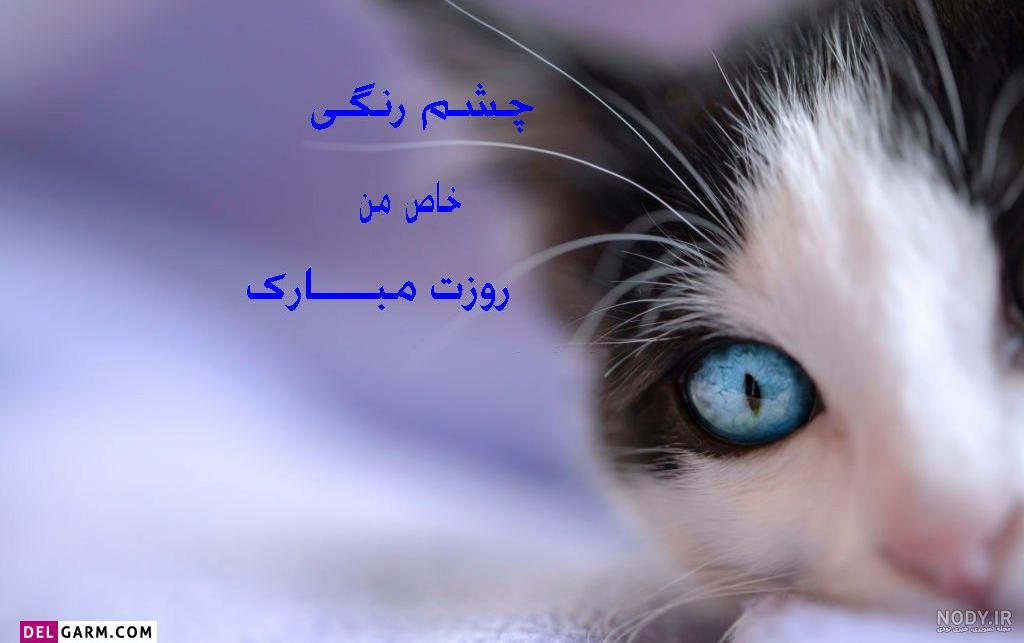 کلیپ تبریک روز چشم رنگیا