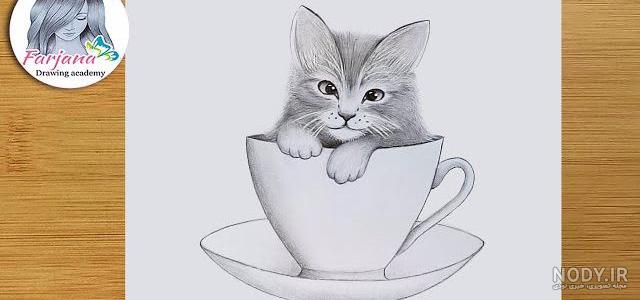 آموزش نقاشی گربه آموزش نقاشی گربه